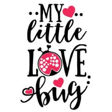 my little love bug
