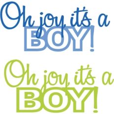 joy it's a boy phrase