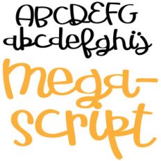 pn megascript
