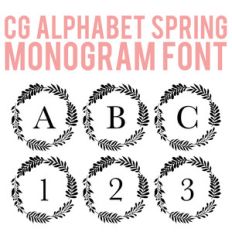 cg monogram font spring