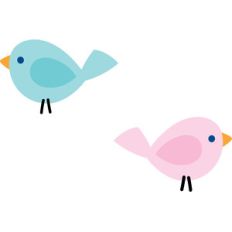 birds