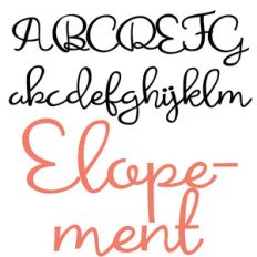 zp elopement