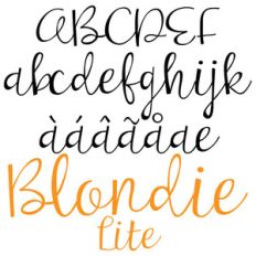 pn blondie lite