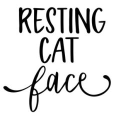 resting cat face phrase