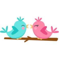 love birds
