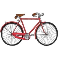 echo park bike