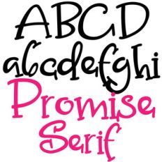 zp promise serif