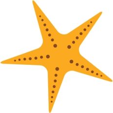 echo park starfish