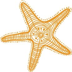 echo park starfish