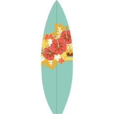 echo park surf board