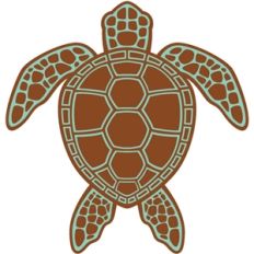 echo park turtle