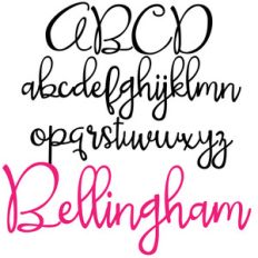 pn bellingham