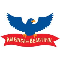 america the beautiful eagle