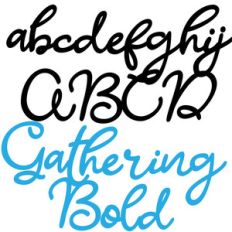 zp gathering bold
