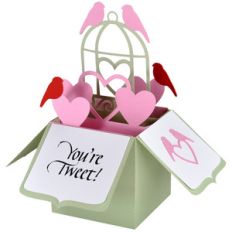 love birds card in a box