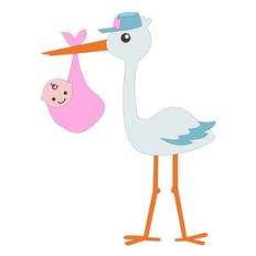 new baby with stork