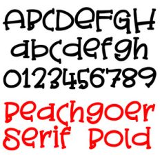 pn beachgoer serif bold
