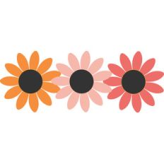 daisy border