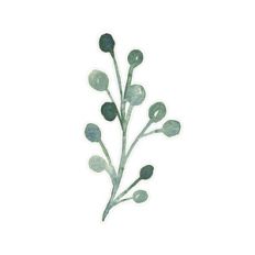 green watercolor branch