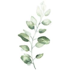green watercolor branch