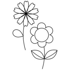 sketch flower