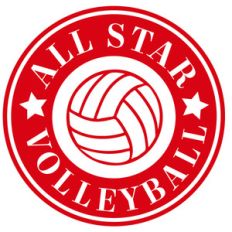 all star volleyball label