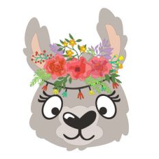 llama face