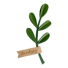 sprig place card
