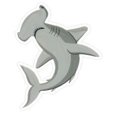 hammerhead shark
