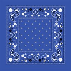 blue bandana pattern