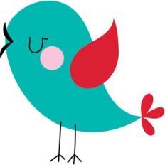 bird