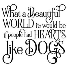 hearts like dogs quotes