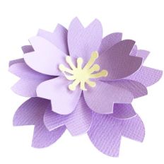 3d sakura cherry blossom flower