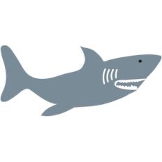 shark