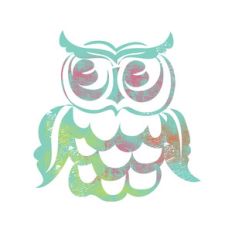 spring owl