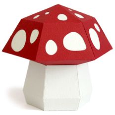 mushroom box