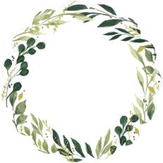 scalloped circle invite
