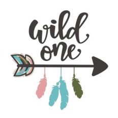 wild one phrase