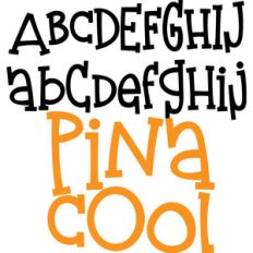 pn pina cool
