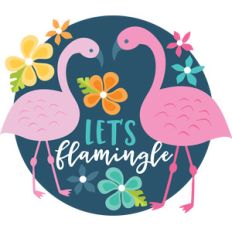 let's flamingle