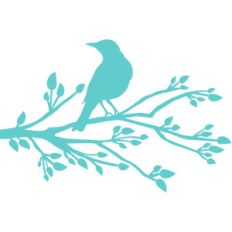 bird on branch