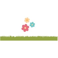 grass border and flowers