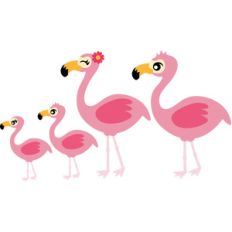 flamingos family