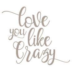 love you like crazy