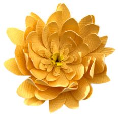 fun flower