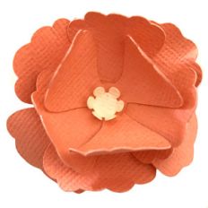 fun flower