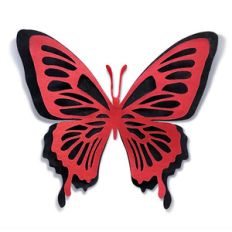 double-layer butterfly