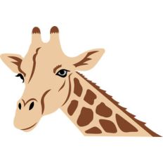 giraffe face