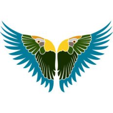 parrot wings