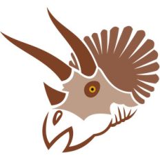 triceratops face
